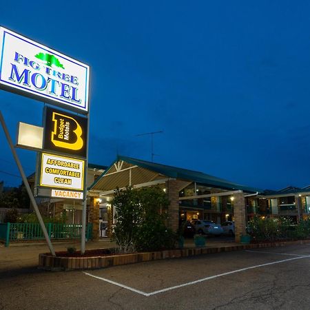 Fig Tree Motel Narrandera Exteriör bild